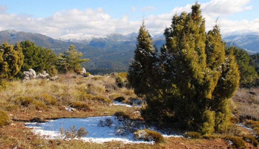 Rutas de naturaleza para grupos