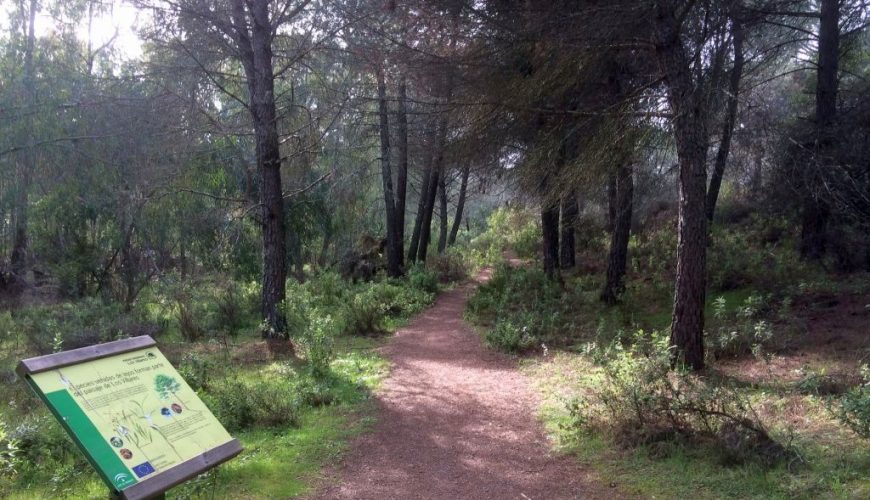 Rutas de naturaleza para grupos