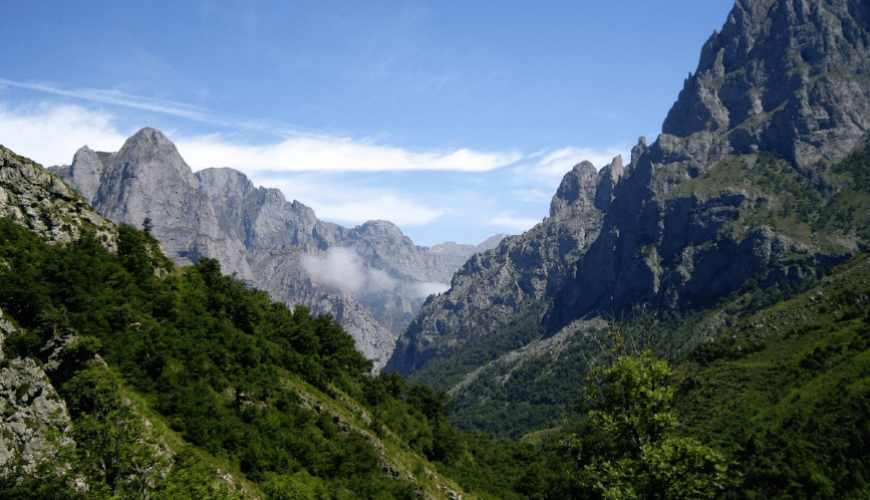 Rutas de naturaleza para grupos