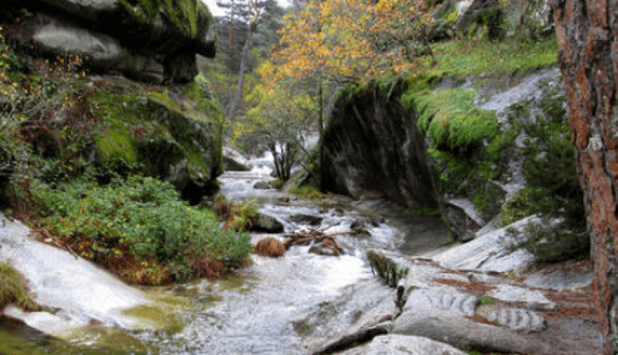 Rutas de naturaleza para grupos