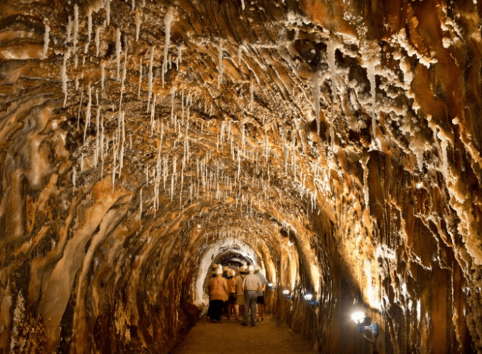 Rutas de naturaleza para grupos