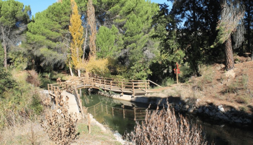 Rutas de naturaleza para grupos