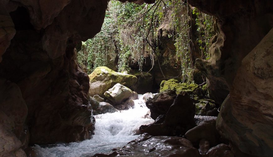 Rutas de naturaleza para grupos